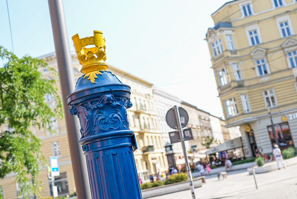 1658327623-DSC03865.jpg