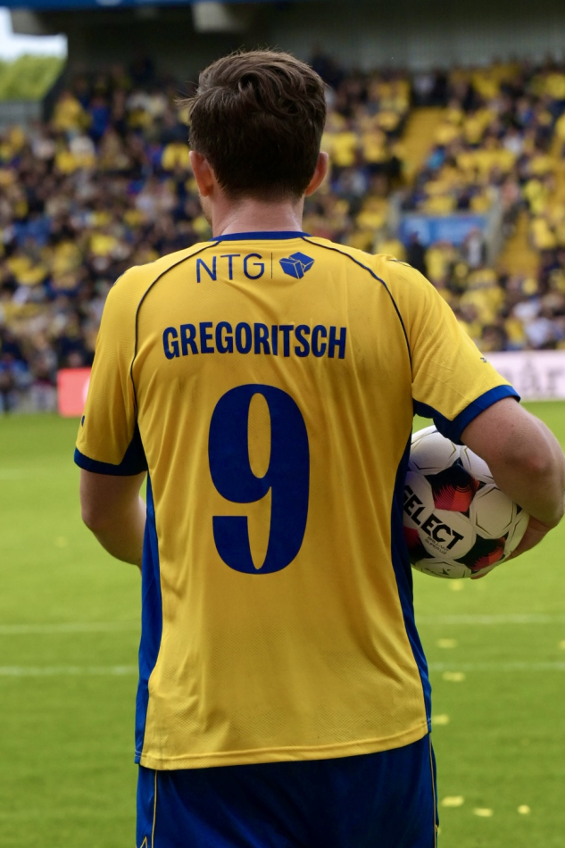 Michael Gregoritsch